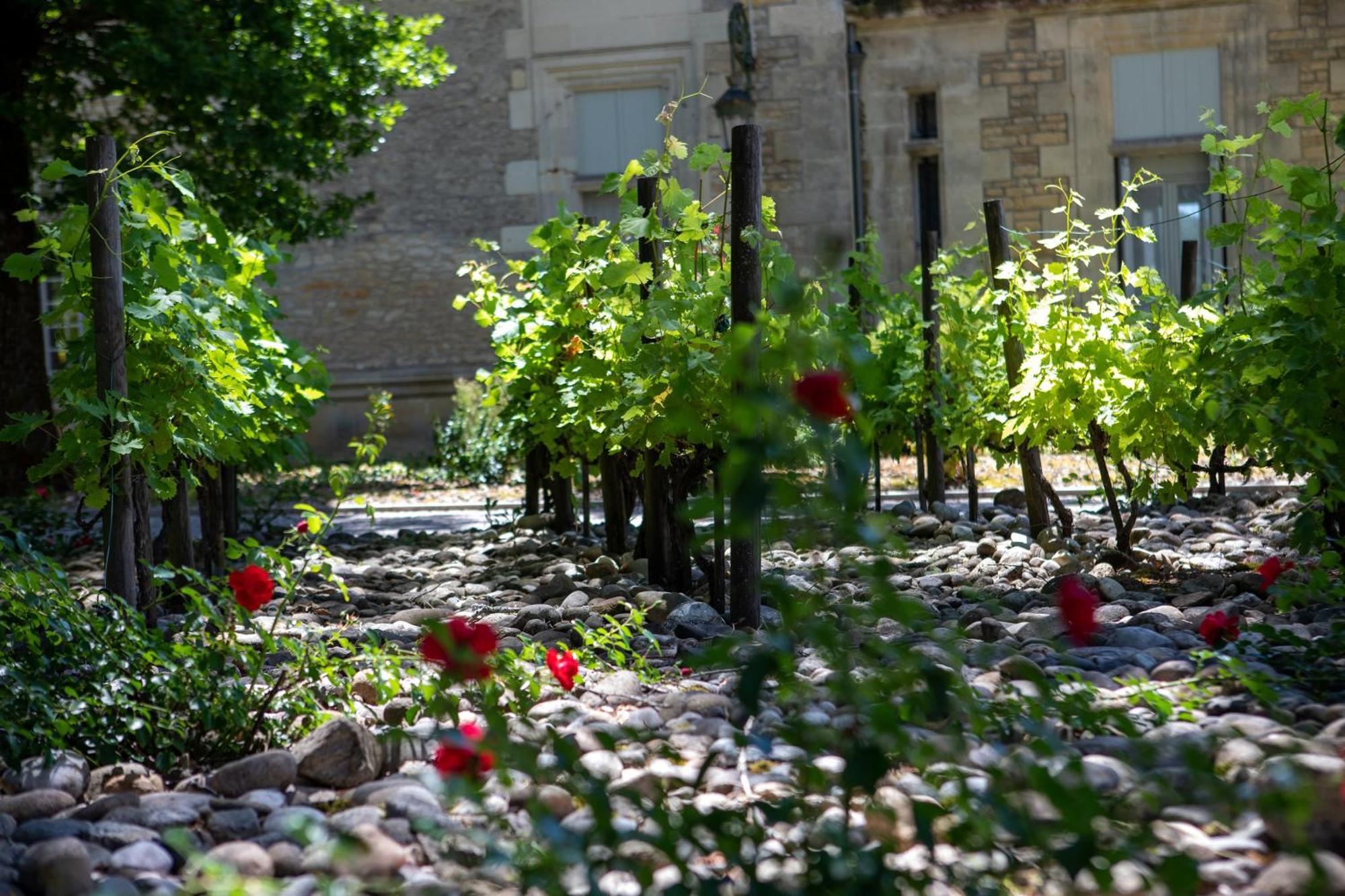 Domaine De Monrecour - Hotel & Restaurant - Proche De Sarlat Saint-Vincent-de-Cosse Buitenkant foto